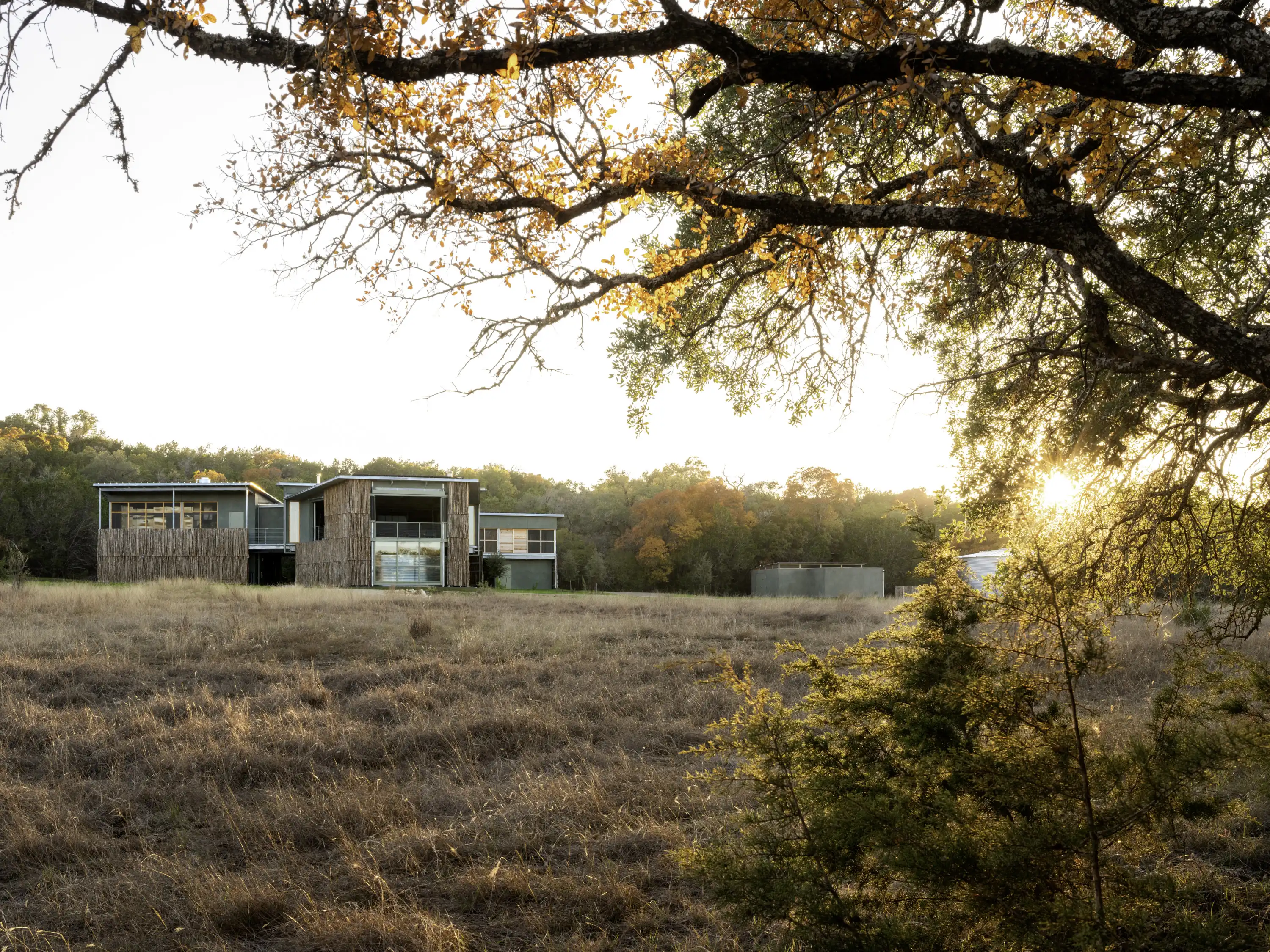 Campsite at Shield Ranch | Austin, Texas, USA | 2022