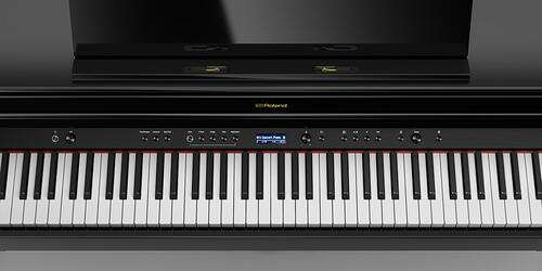 HP704 2018-2019