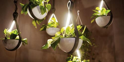 Outdoor Lighting Series 341 2019