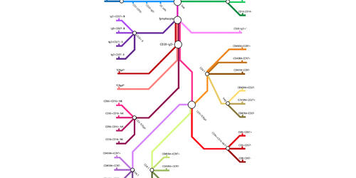 Subway Plot for Immune Cell Relationships 2020