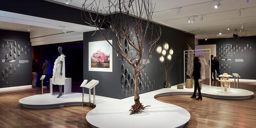 Nature - Cooper Hewitt Triennial 2019