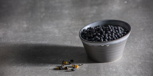 Cloud Terre Etta Stoneware Bowls | 2020-2021