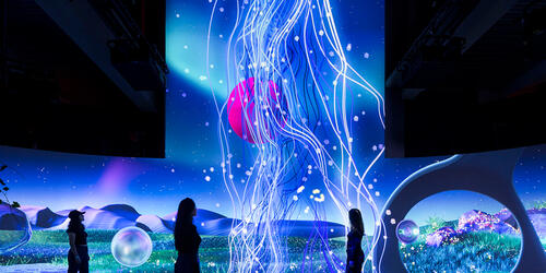 Magenta Moon Garden | 2020