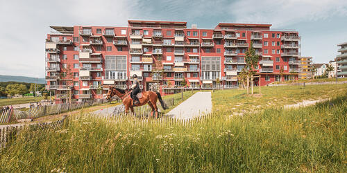Des Lieux et Des Liens | Meyrin/Geneva, Switzerland | 2021