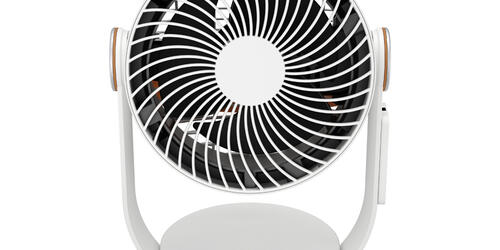 3D-Fan Leo | 2019-2020
