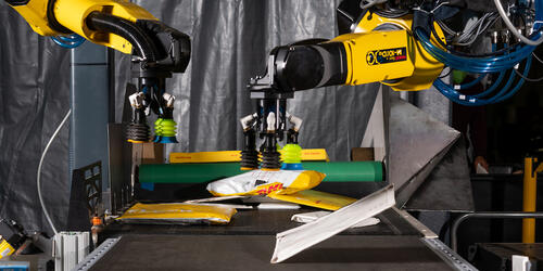 FORTNA. Dual Robotic Singulator | 2021-2022