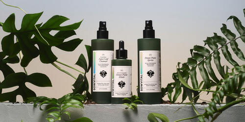 Sowvital's Three-Step Plantcare Kit | 2022