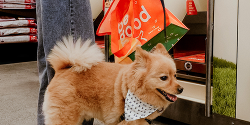 Canidae Kibble Refill Station | 2021