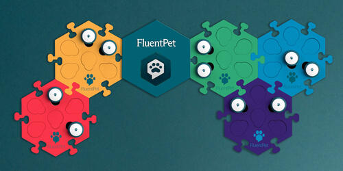 FluentPet Connect | 2022