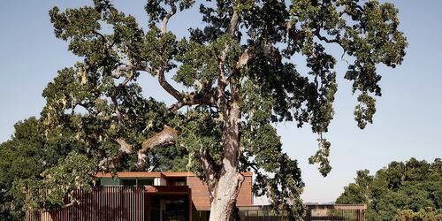 Meadow House | Carmel, California | 2023