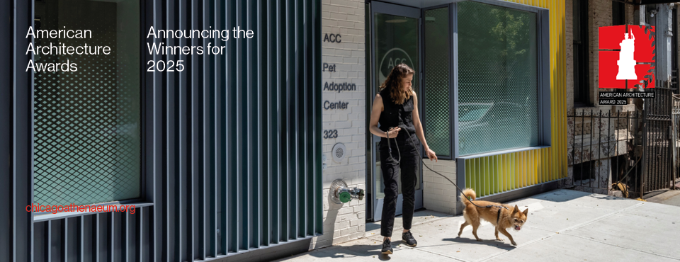 Pet Adoption Center| New York, New York, USA | 2024 by Studio Joseph