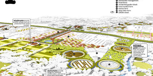 FAYETTEVILLE 2030: FOOD CITY SCENARIO 2013