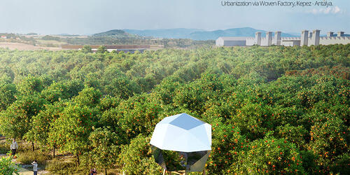 ORANGE FUTURE – With Orange Once Again - Mehmet Cemil Aktas - Turkey